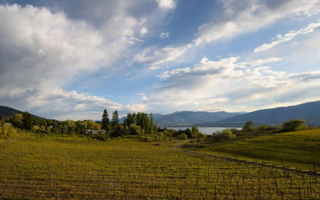 Quidni Estate Winery