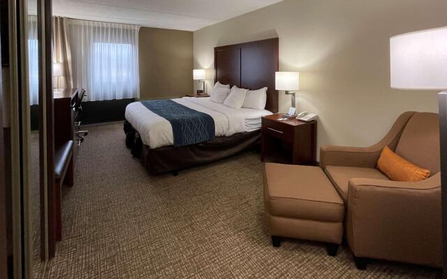 Comfort Inn Binghamton I-81