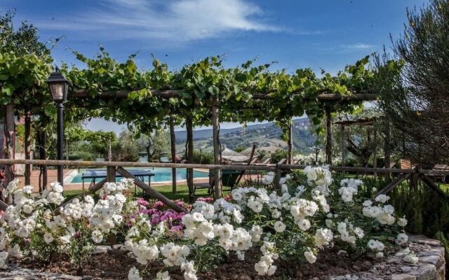 Agriturismo Belvedere delle Crete