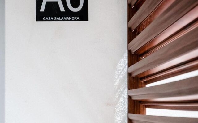 Salamandra Altea 17 By Vero