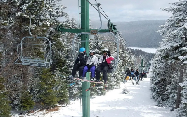 5 Br: Black Bear Crossing #4