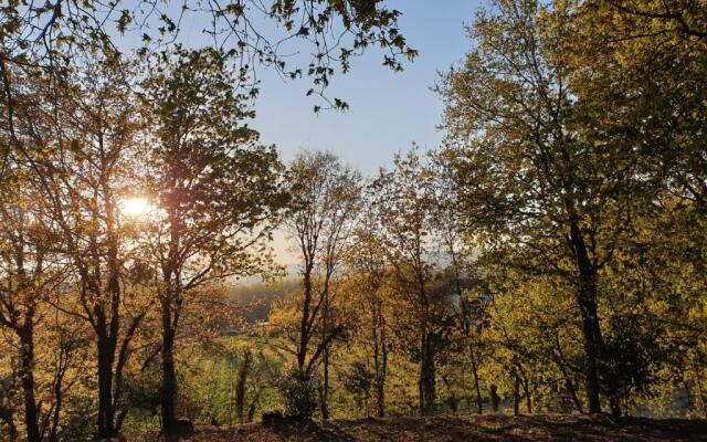Quinta das Essências