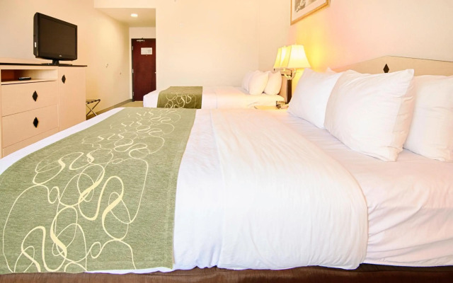 Comfort Inn & Suites Airport