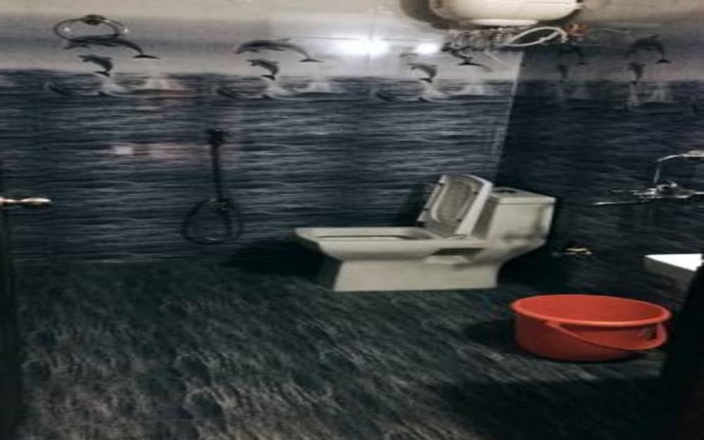 Lazy Bear Resort And Cafe