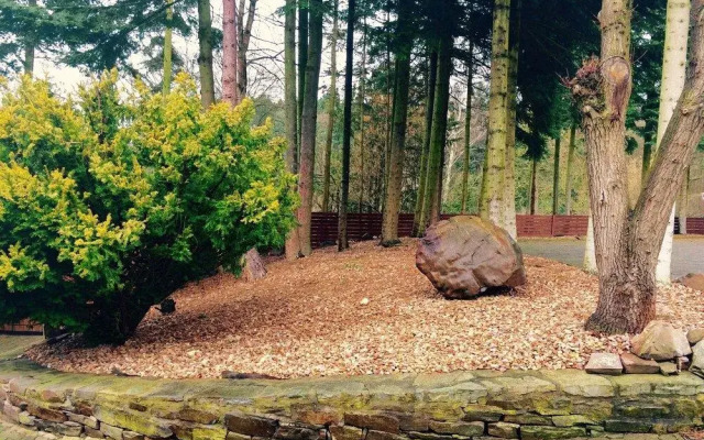 Waldhotel König von Rom