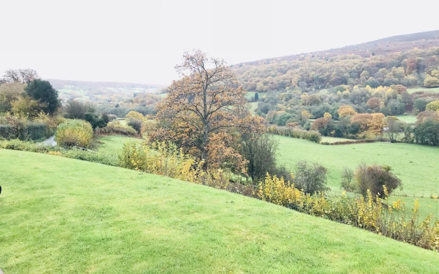 Celyn Farm Bed & Breakfast