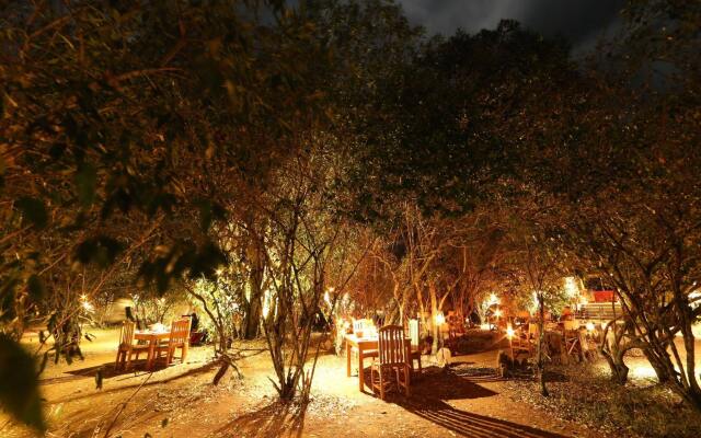 Mara Bush Camp
