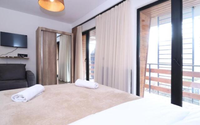 Bright Studio Apartment in Marshall Gudauri