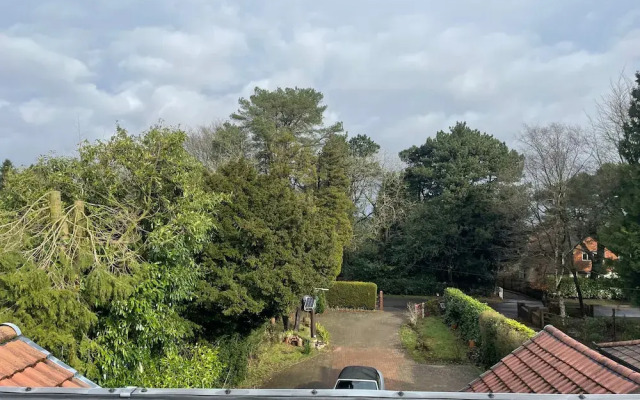Studio/lickey Hills/near Attractions/garden/petok