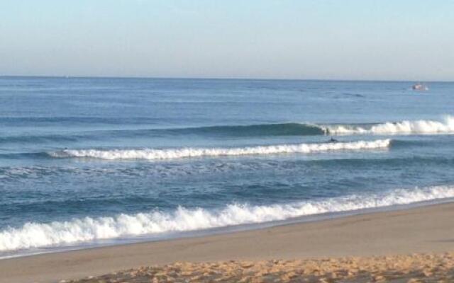 Shifting Sands Surf Camp