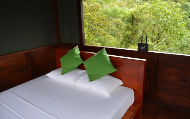 Dambulla Tree House