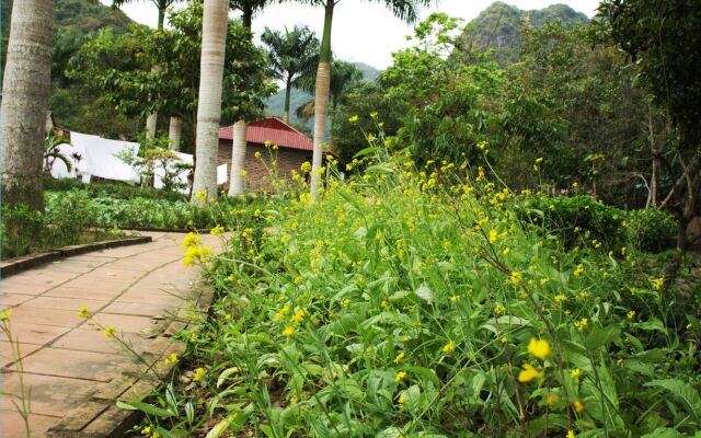 Long Phuong Homestay