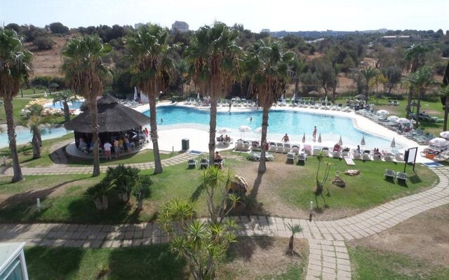 The Navigator - Palm Oasis Alvor