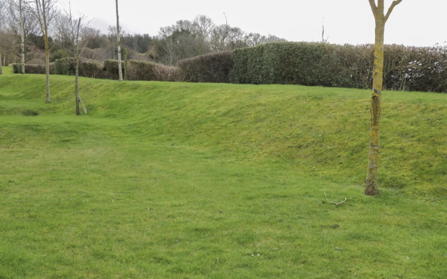 The Fox's Den