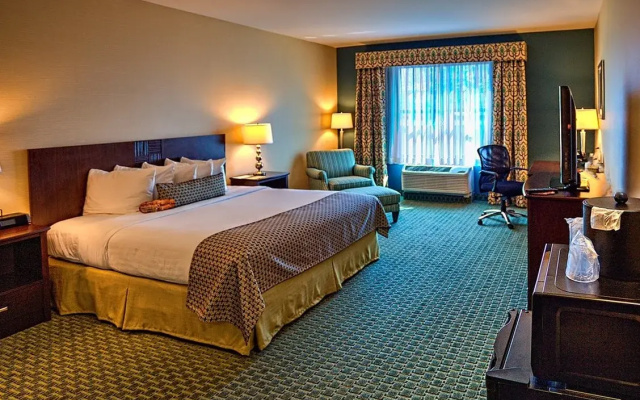 Hotel Warner