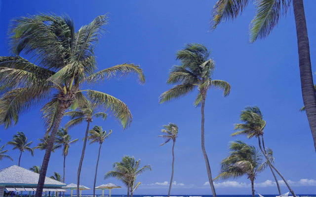 Nisbet Plantation Beach Club