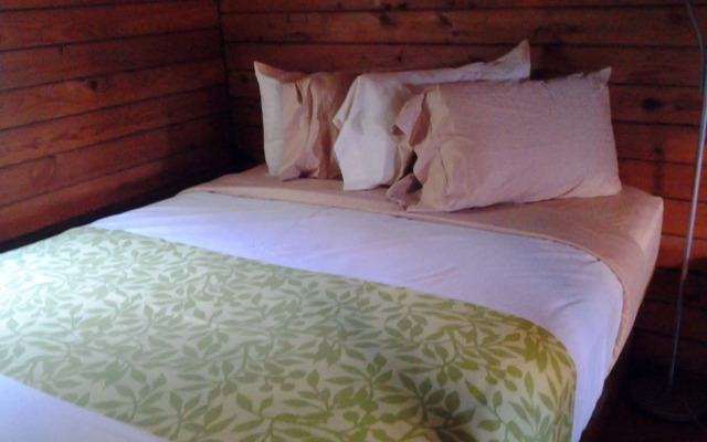 Shelby Mansfield KOA Resort