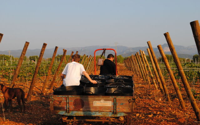 Weingut & Landhotel Can Davero