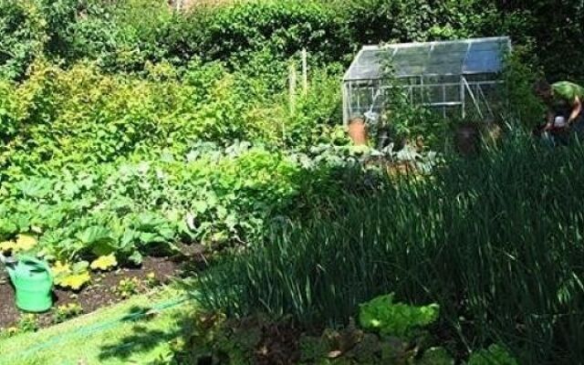 School Cottages BB  Self-Catering