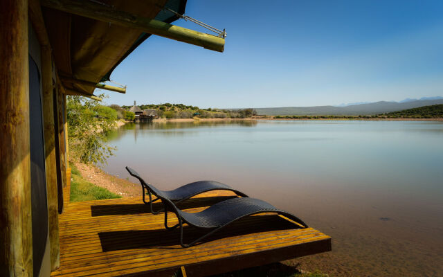 Buffelsdrift Game Lodge