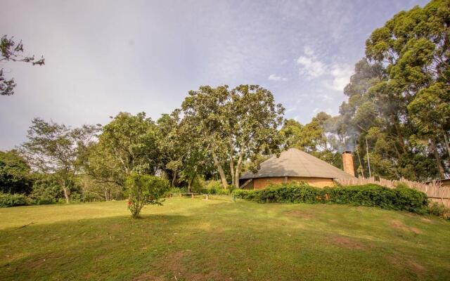 Bushara Island Camp