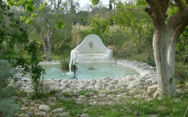 Olive Yard