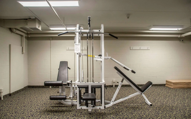 Comfort Inn Lundys Lane