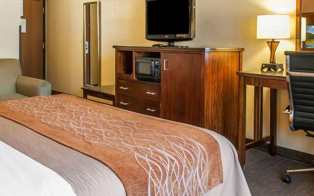 Comfort Inn & Suites Midtown