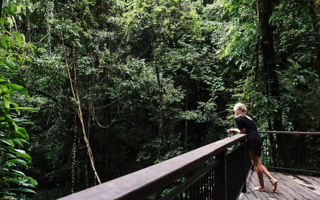 Daintree Ecolodge