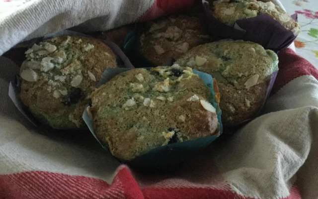 Gite Entre Chien Et Loup