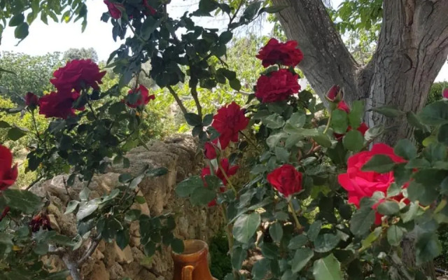 Trullo del Cavaliere