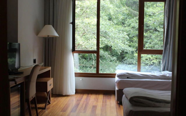 Ayder Hasimoglu Hotel