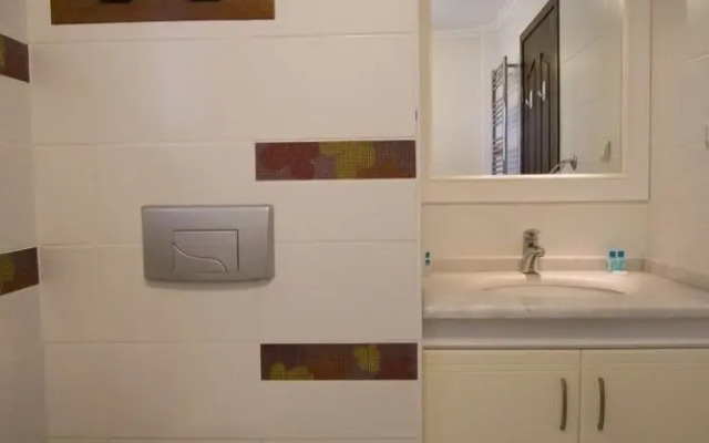 Dolphin1