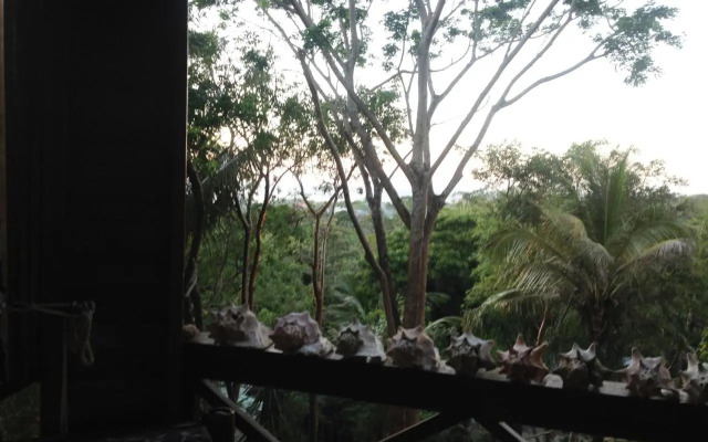 Roatan Bed & Breakfast Apartments