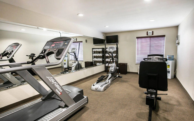 Spark by Hilton Killeen