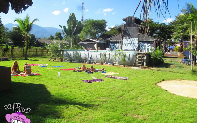 Purple Monkey Backpackers
