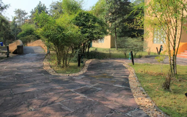 The Celebration Van Vilas