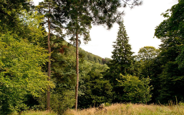 YHA Langdale - Hostel