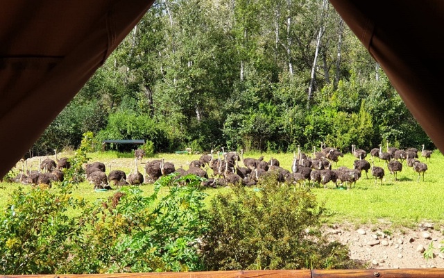 Old Mill Lodge, Working Ostrich Farm & Restaurant, Oudtshoorn