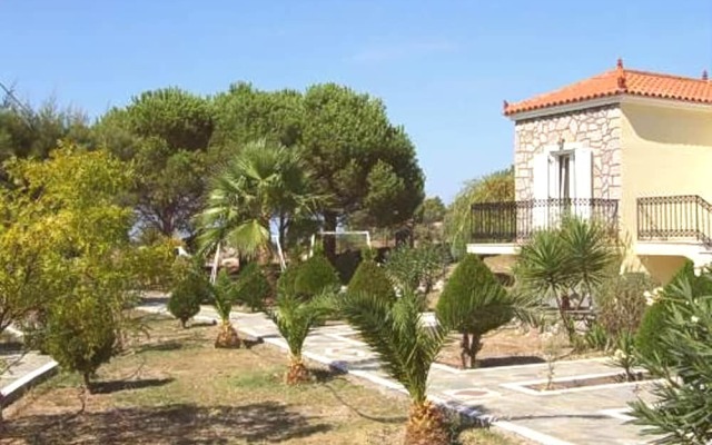 Eleftheria's