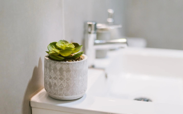 Lechartier Oporto apartments 2