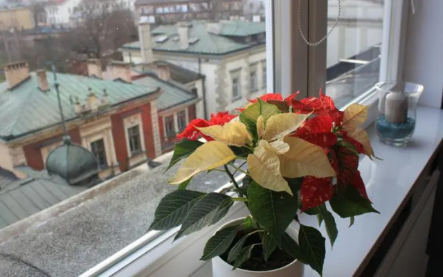 Yellow Peaked Shoe Apartment