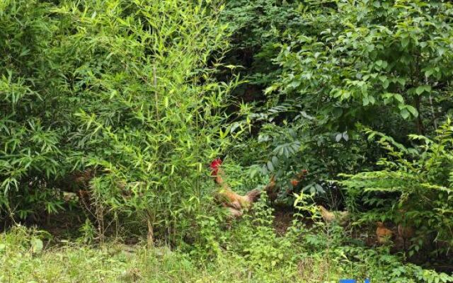 Yueqixi·Small Village Homestay (Tiantangzhai Scenic)