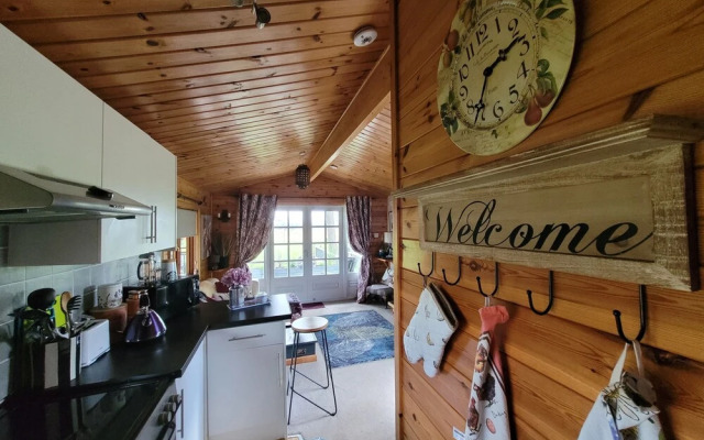 Cosy Wood Cabin in Rural Area Near National Park