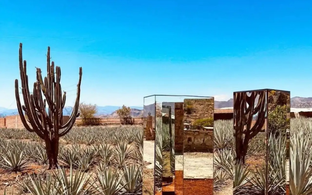 Hotel Monte Agave