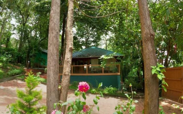 Thennal Jungle Camp Pvt Ltd