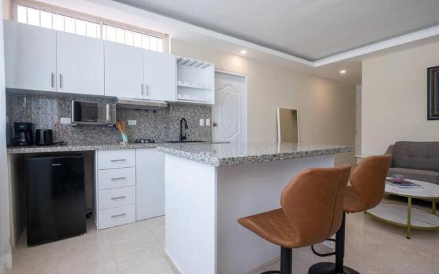Suite 10 en la Zona Colonial