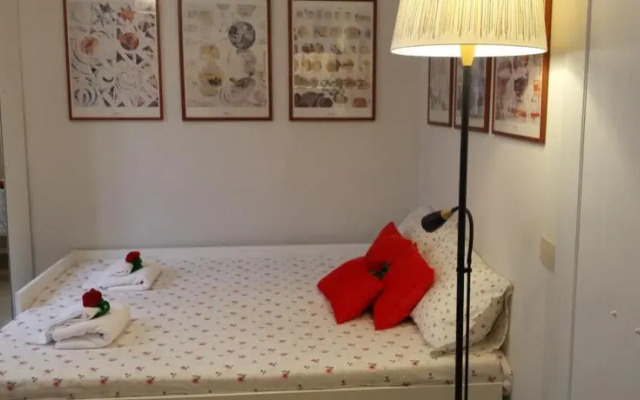 Magico Risveglio Piazza Signoria