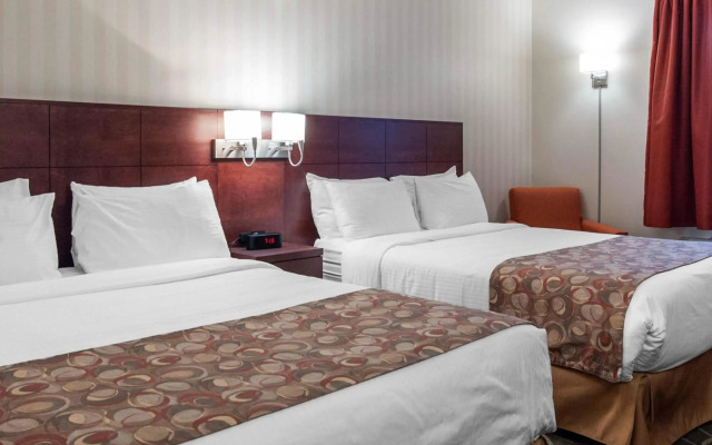 Quality Hotel & Suites