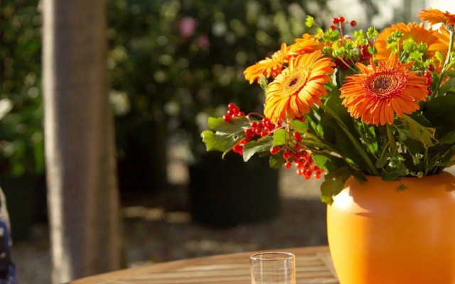 Strandhotel Alte Donau